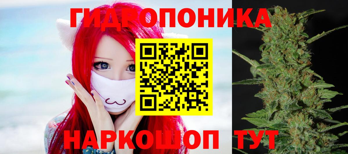 Бошки Шишки план  Бошки марихуана планчик  Вход с VPN  Лесной 